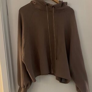 Zara Women's Tan Hoodie